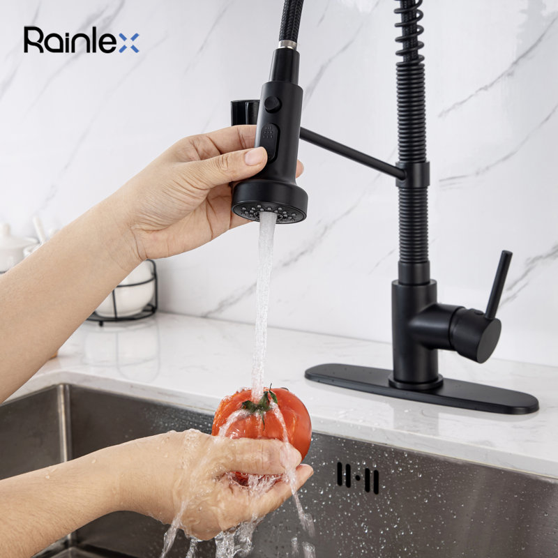 Rainlex Pull Down Kitchen Faucet