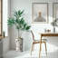 66 plantes-97701031