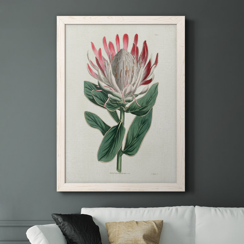 Protea N13 - Peinture sur toile encadrée, H 44 po x l 31 po x P 1 po, Cadre blanc