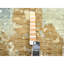 9'x12'1" Brown Densely Woven Abstract Design Pure Wool Hand Knotted Rug 92BD34C201A049B9B9848FCC2B3F4F7A