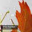 Rideau de douche Autumn Autumn Leaves-1564203141
