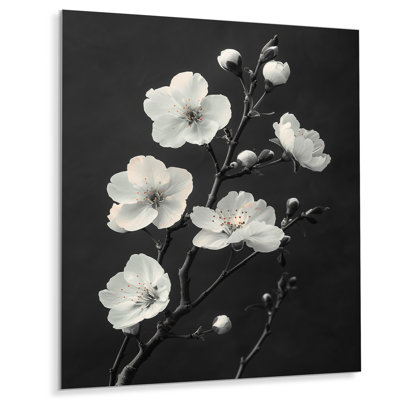 Silhouette de fleur de cerisier noir monochrome II - fleur de cerisier