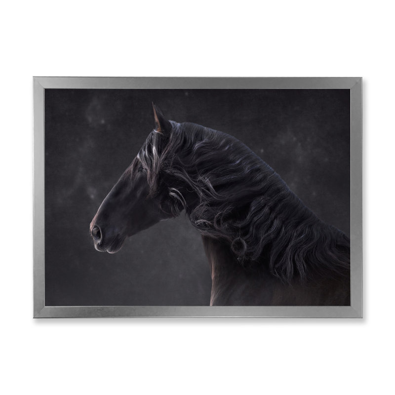 Portrait d'un cheval andalou - Photographie sur toile, H 24 po x l 32 po, Cadre photo argenté