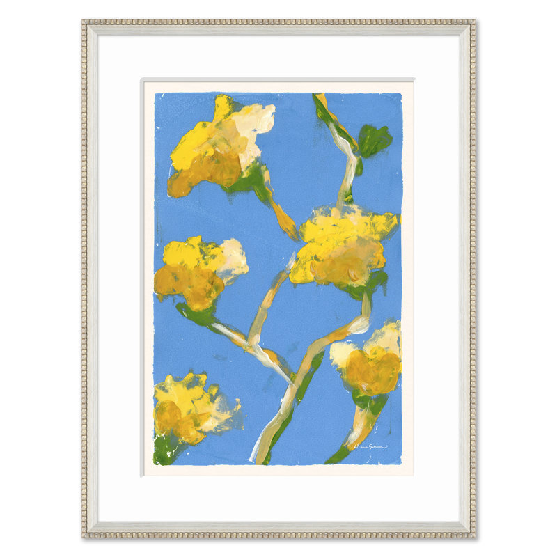 Tulip Poplar Set