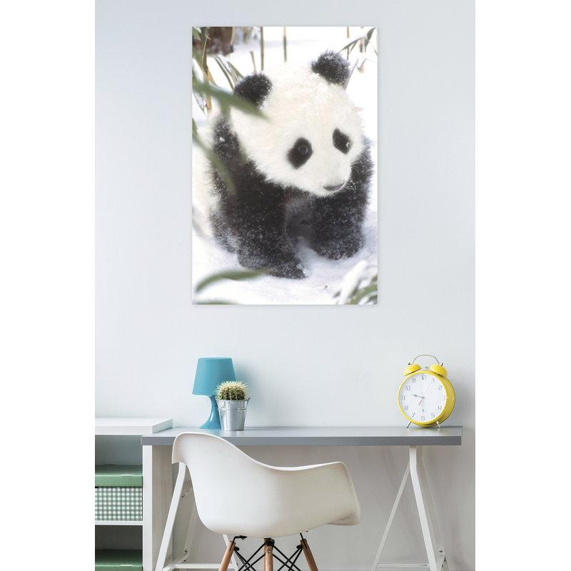 Impression sur papier animaux-panda