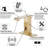 Auto-P-3007-Gold Automatic Sensor Polished Gold Touchless Bathroom Sink Faucet With Drain Assembly-129258570