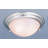 Lunar 2-Light Indoor Brushed Nickel Fluorescent Flush Mount Ceiling Fixture with Alabaster Glass Bowl-1232937517