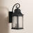 Kota Danny Outdoor Wall Lantern-532962207-436110543-436110541
