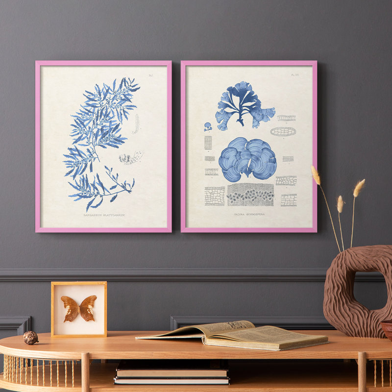 Blue Marine Algae III - reproduction encadrée de qualité supérieure - prête à être accrochée - aucun clou requis - aucun clou requis