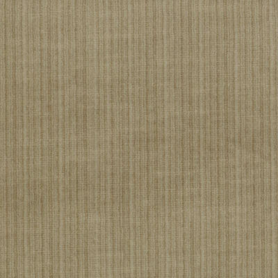 Tissu velours encyclopédique IV