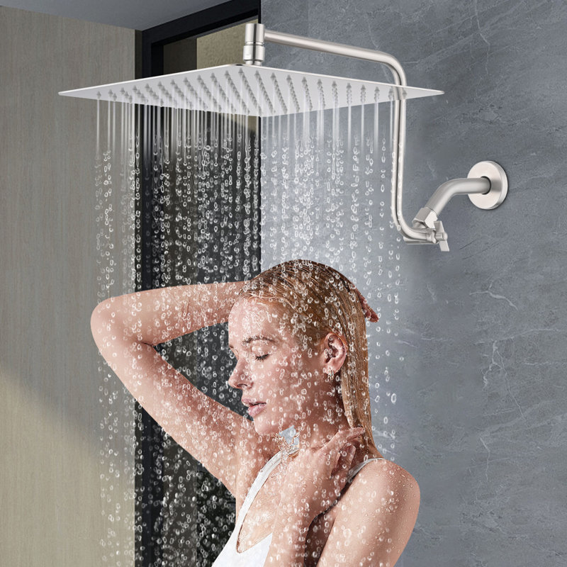 Rain Adjustable Shower Head 2.0 GPM GPM, Brushed Nickel