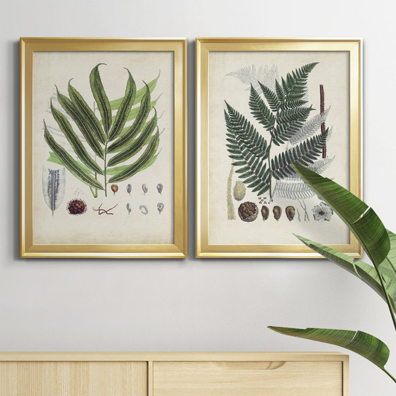 Collection de fougères III - ensemble de 2 impressions encadrées sur toile, H 42,5 po x l 30,5 po x P 1,25 po, Cadre doré