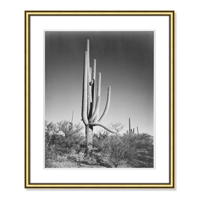 Saguaro National Monument Print by Ansel Adams
