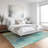 Machine Washable Indoor/Outdoor Houtz ACN2273 Floral Rug-1732311321