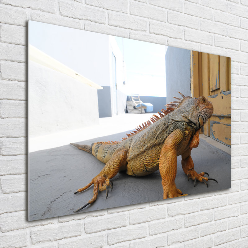 Iguana - No Frame Print on Glass