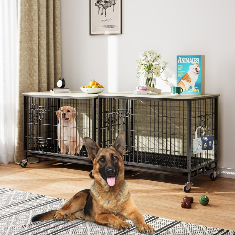 Dog House