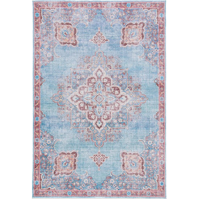 Serapi Performance Machine Washable Oriental Rug