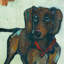 « daschunds is cool », reproduction de peinture à l’huile sur toile tendue-22056843