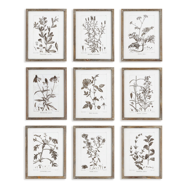 Violeta Rustic Foliage - ensemble de 9 peintures encadrées