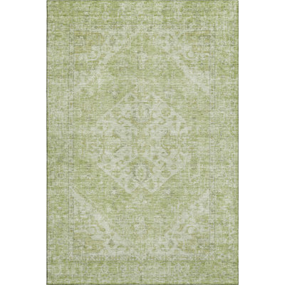 Premium Machine Washable Wayne AMF1104 Global Rug