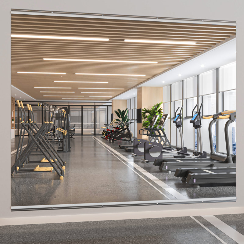 Ebern Designs Full Length Rectangle Wall Mirror Home Gym Mirror Dance Studio Mirror Tempered Glass Mirror, 55" x 21"