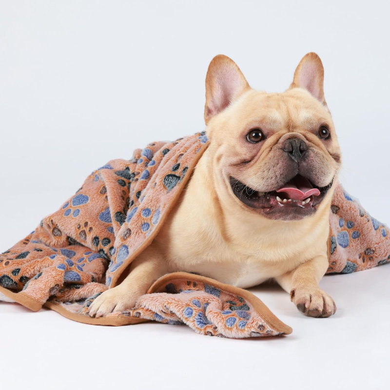Pet Blanket, Brown