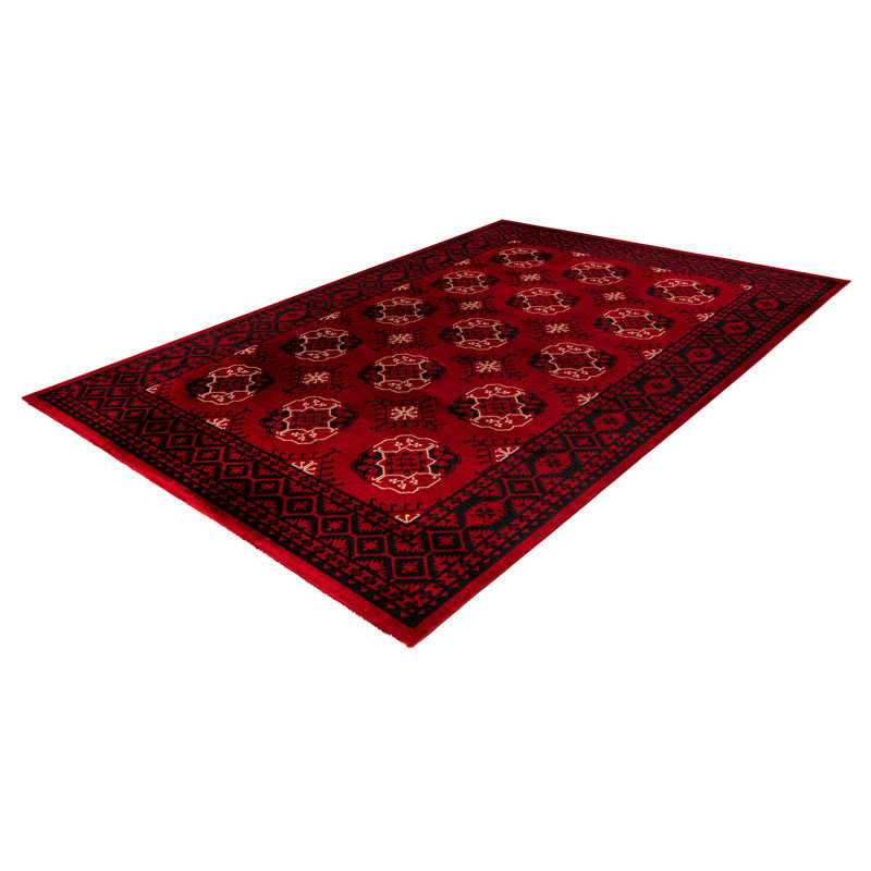 Ariana Oriental Area Rug, Rectangular 160 x 230cm