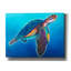 «Sea Turtle - Rainbow» par Dawg Painter-1092940337
