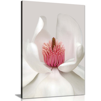 White Magnolia Flower Petals - Wrapped Canvas Print