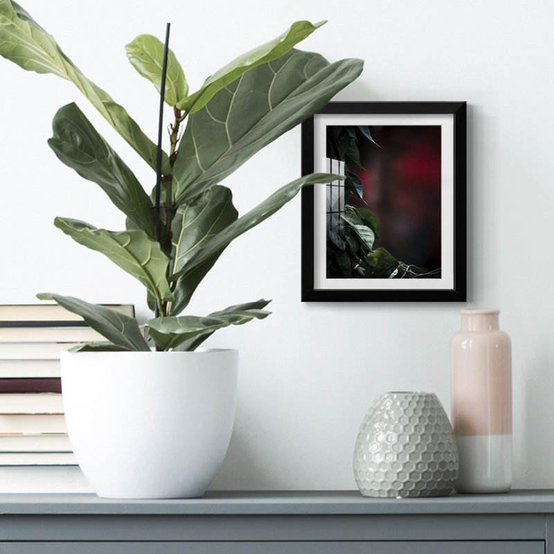 Dramatic Foliage I -Framed Print, 28.5" H x 20.5" W, Black