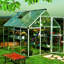 Hybrid 6 Ft W x 8 Ft D Hobby Greenhouse-24797286