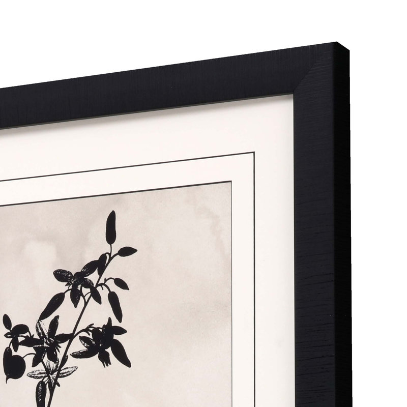 «Dianella», reproduction d'art encadrée noire