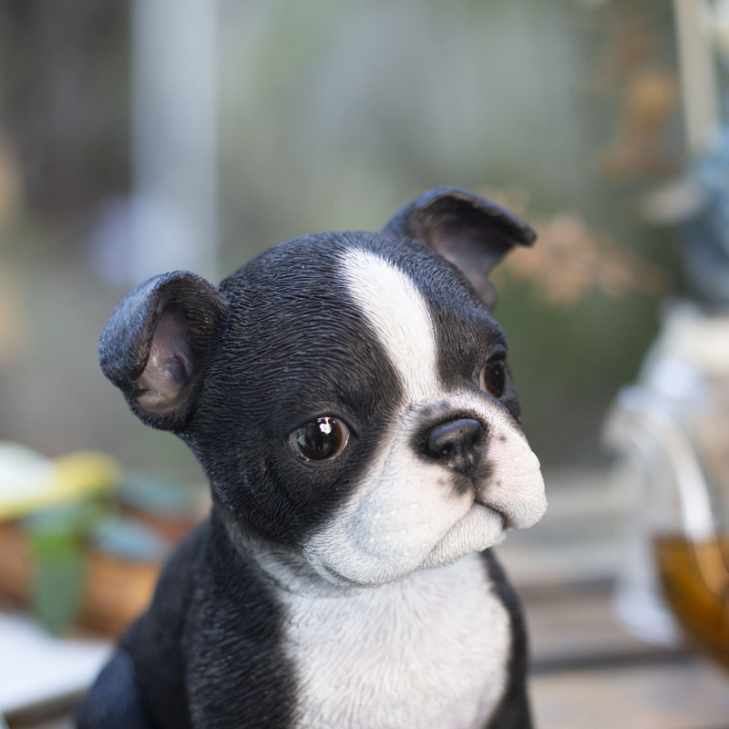 Boston Terrier | Handpainted Decorative Puppy Statue for Home & Garden Decor | Premium Polyresin Dog Statue | Gift for Dog Lovers | Weather-Resistant Indoor/Outdoor Decor
