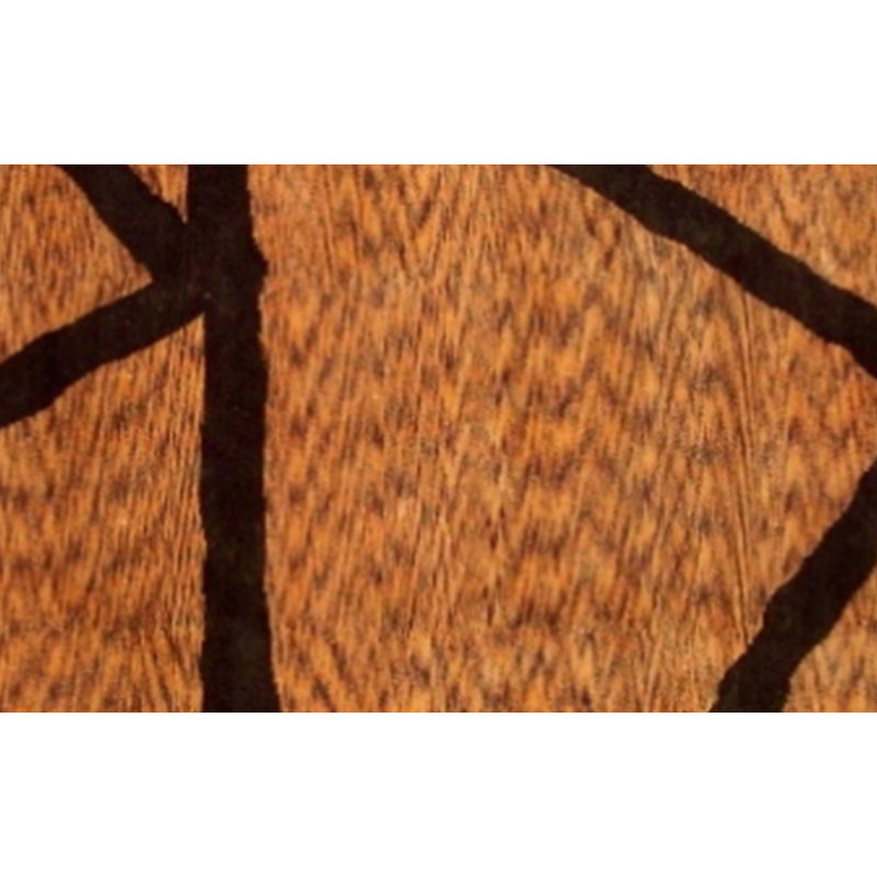 Tapis noué la brun/beige 6 pi x 9' à la main one-of-kind Lalonde