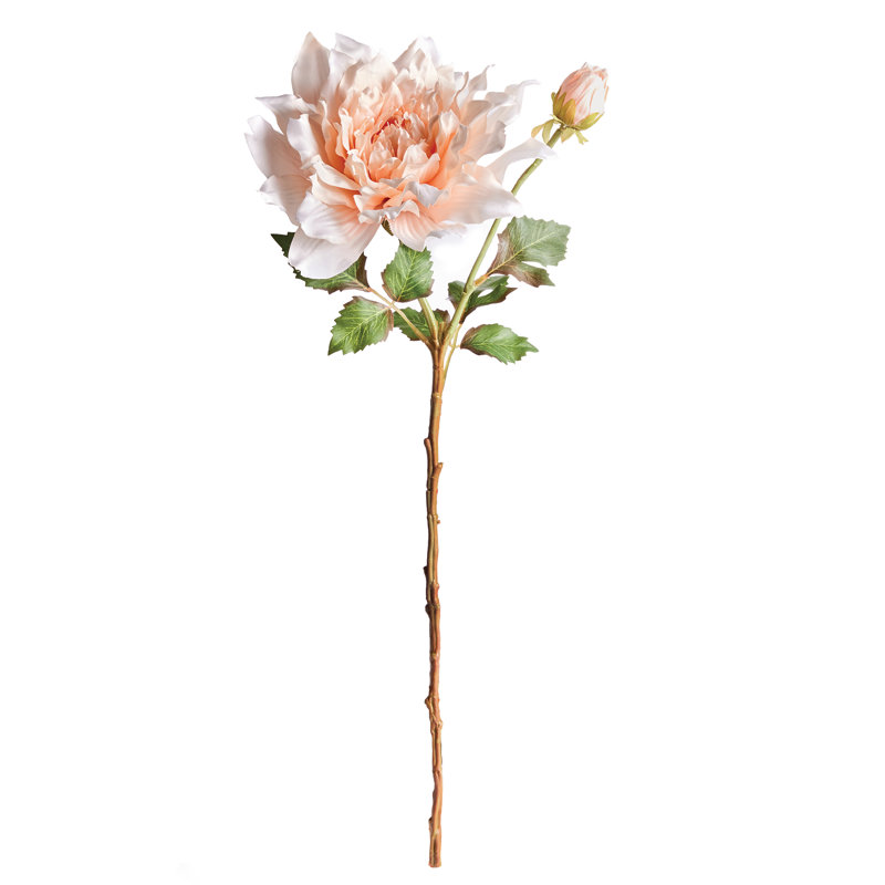Tige de dahlia 21,5 po, Rose