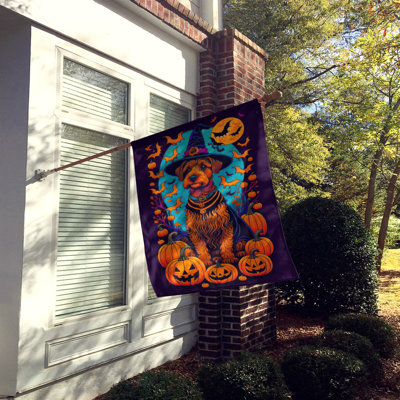 Jakameron Double Sided Polyester Halloween Garden Flag