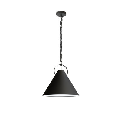 Luminaire suspendu incandescent 1 lumière Princeton