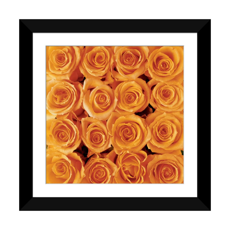 « orange rose creation », impression sur toile, H 24 po x l 24 po x P 1 po, Papier d'art encadré noir, Blanc