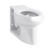 Anglesey® Floor-Mounted Wall-Outlet 1.6 GPF Flushometer Valve Elongated Bowl with Integral Seat and Rear Inlet, Antimicrobial
