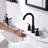 Widespread 2-handle Bathroom Faucet with Drain Assembly-61752830