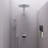 Full/Standard Handheld Shower Head 2.5 GPM GPM-12517415