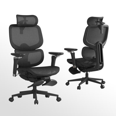 Fauteuil de bureau ergonomique Professional D2
