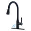 Robinet de cuisine SUNRINX-94553825