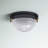 Spadaro Glass Flush Mount