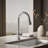 Artifacts Pull Down Single Handle Kitchen Faucet-14673523