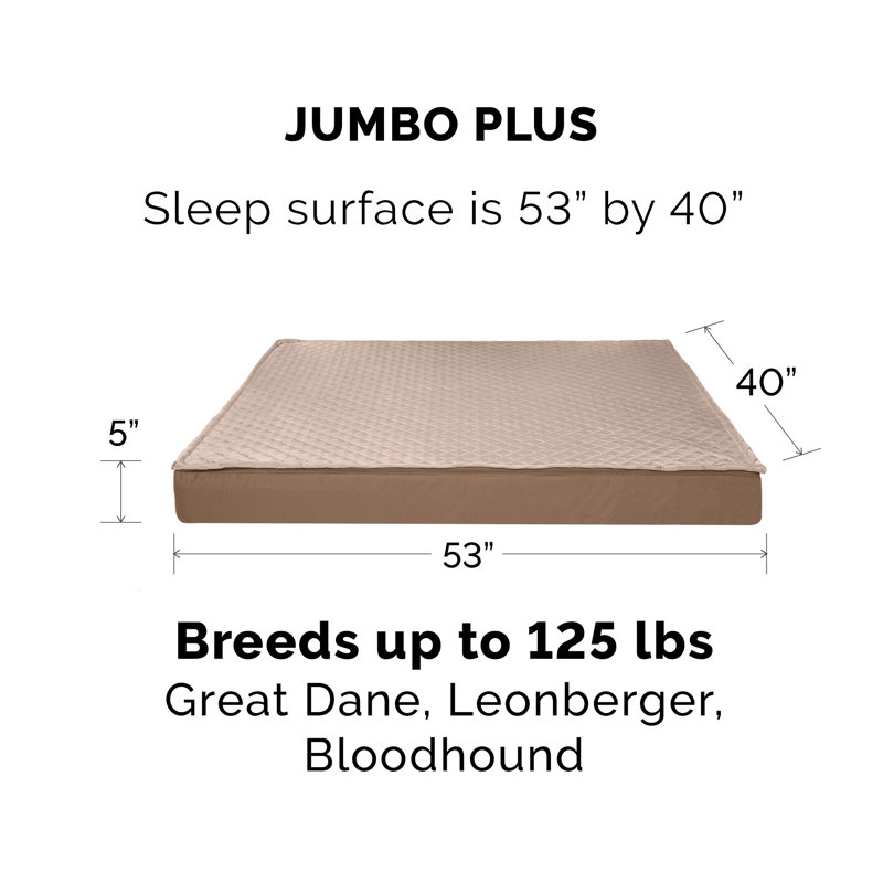 Orthopedic Polyester Pet Bed, Sand, Jumbo Plus (53" W x 40" D x 5" H)