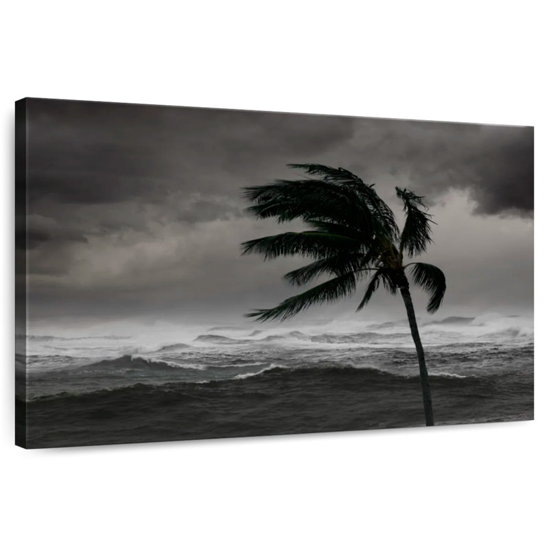 Tempête de mer tropicale Alvord, H 30 po x l 45 po