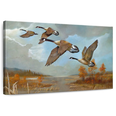 Brampt Canadian Geese