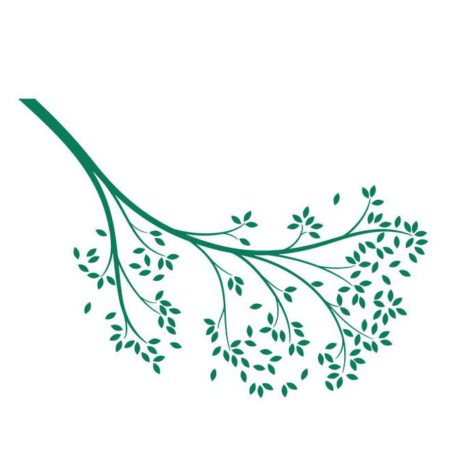 Décalcomanie murale branche atteindre, Vert
