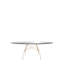 Oval Glass Dining Table-480247248-480247254